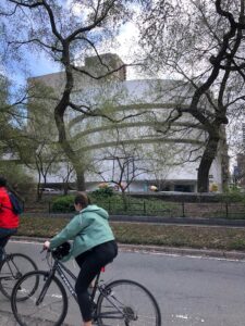 Nueva York sin gluten día 3- bicicletas en central park